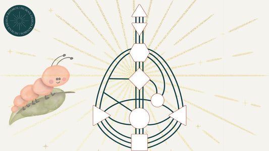 BASIC Reading - Der perfekte Einstieg in dein Chart